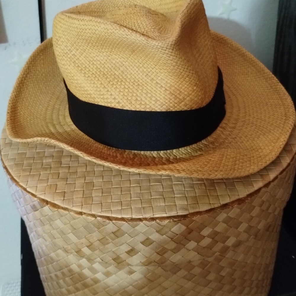 Goorin Bros fedora